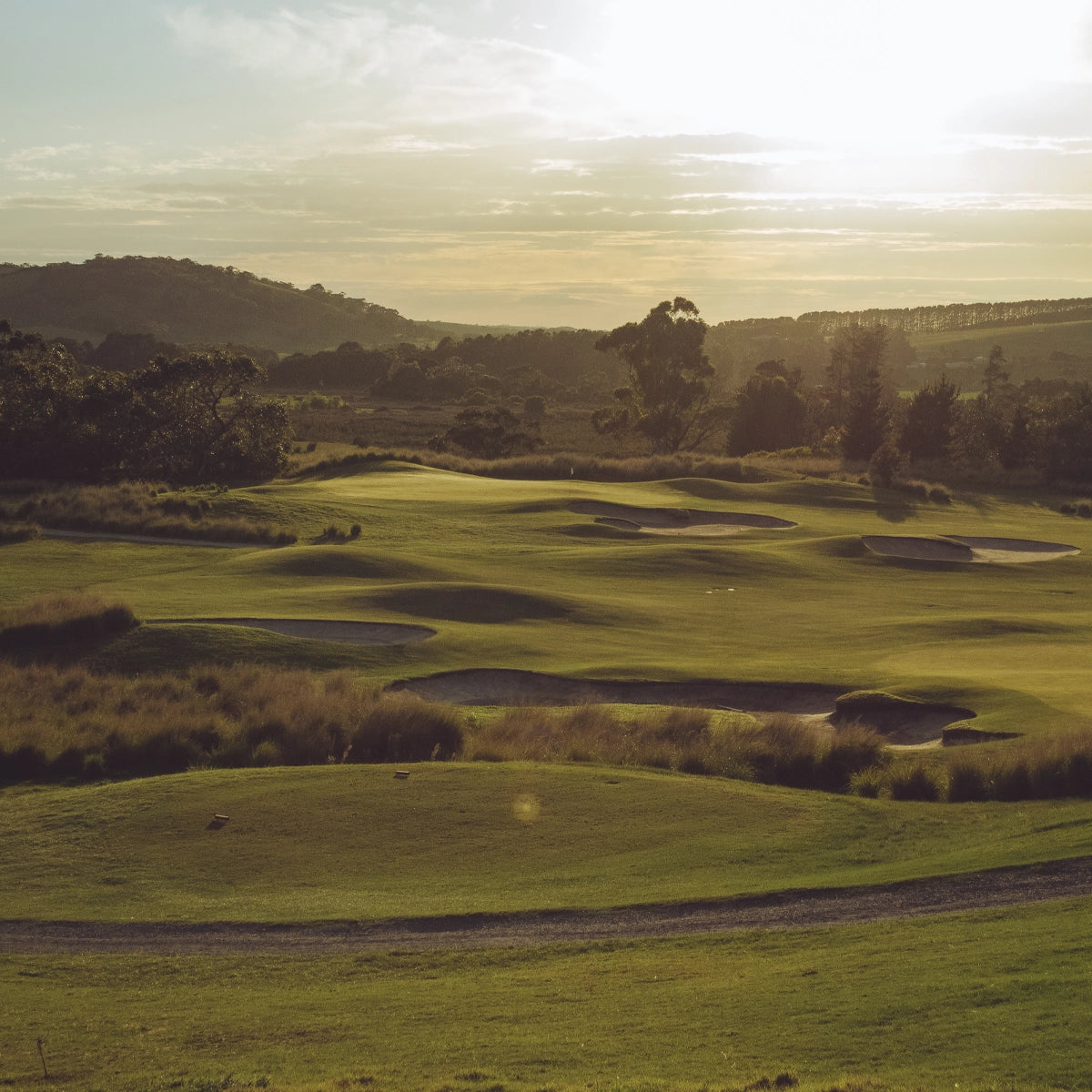 Golf Pro Shop Ball Markers Australia